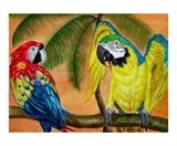 tropical parrots - tropical parrots