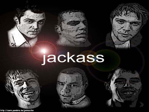 wild boyz - from jackass to nature!