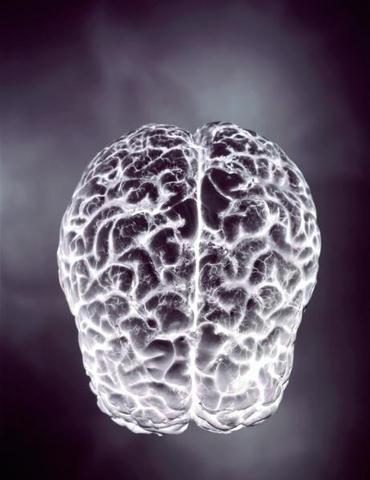 its your brain - hey oone of the most beautiful creations of the nature is our brain.One of the most complicated networks that is still not imitiated by humans after all their die hard trials.