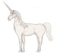 Unicorn - One of my drawings representing a unicorn