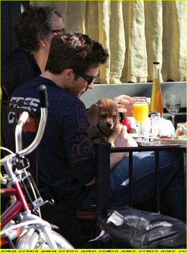 jake gyllenhaal with his puggle - thats so sweet