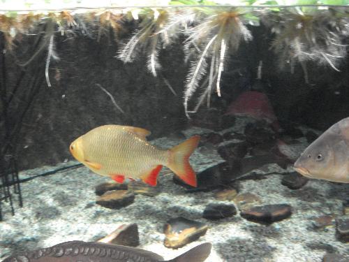 sealife ,paris - sealife ,paris
