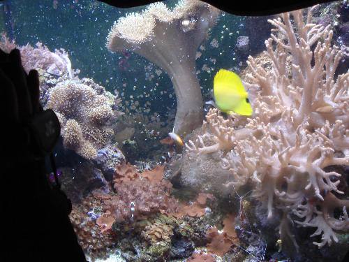 sealife ,paris - sealife ,paris