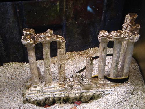 sealife ,paris - sealife ,paris