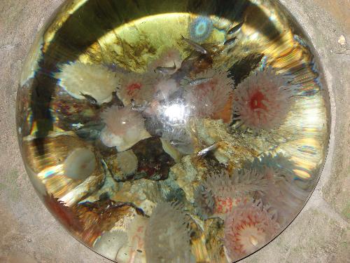sealife ,paris - sealife ,paris