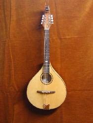 My mandola - A mandola is a big brother to a mandolin. Mine is tuned an octave below the mandolin and it has a big bassy sound!