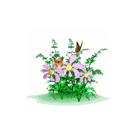 butterflies and flowers - butterflies and flowers