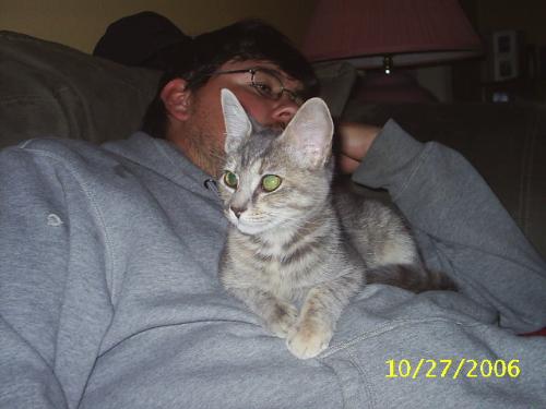 my cat - this is my 6m old kitten.. she was about 4.5 months old when this picture was taken