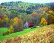 Country side - I grow up in Oklahoma in the country.