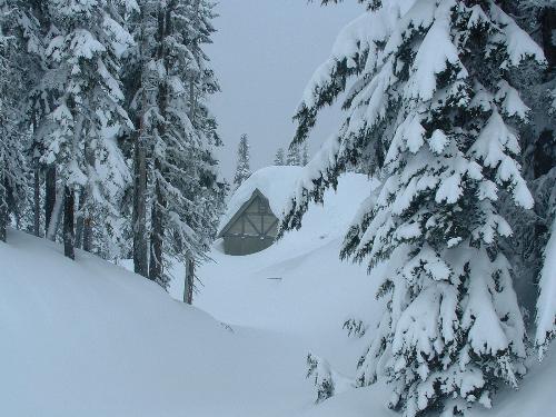 At Mount Ranier - We were hiking near the Paradise visitor center on Mount Ranier