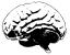 my brain - brain