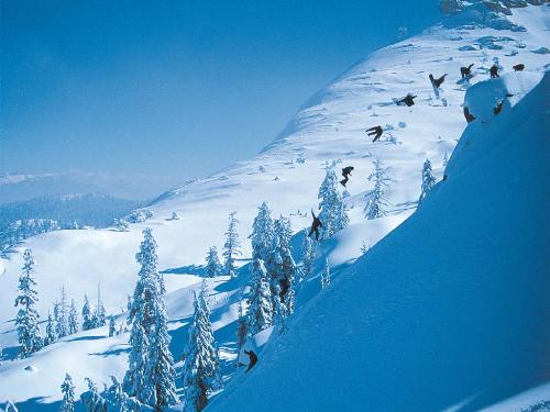 snowboarding - snowboarding