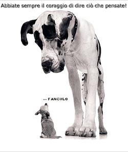 cagnolini - the dogs