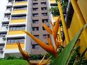 singapore - singapore