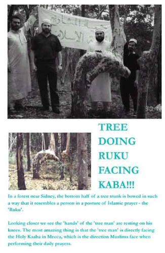 tree doing ruku - Tree doing ruku facing ka'bah