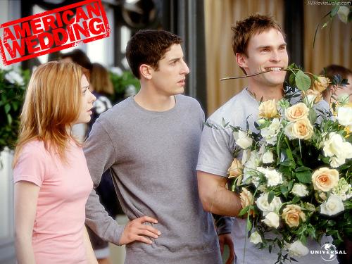 American Pie - American Pie