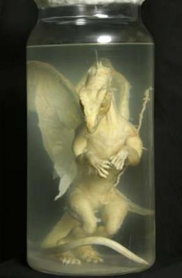 Baby dragon - Is it true or hoax?  found in a garage in Oxfordshire. the 'creature' supposedly dates back to the 1890's when the current owners grandfather kept it from being destroyed