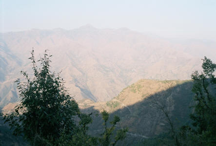 The Valley - Dhanoulty,Dehradun
