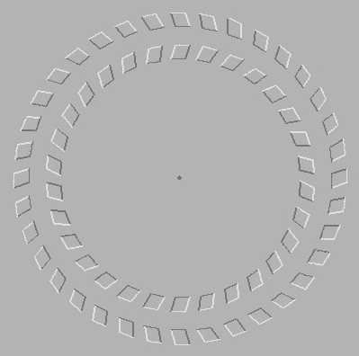 Spinning Circle - Optical Illusion-Spinning Circle