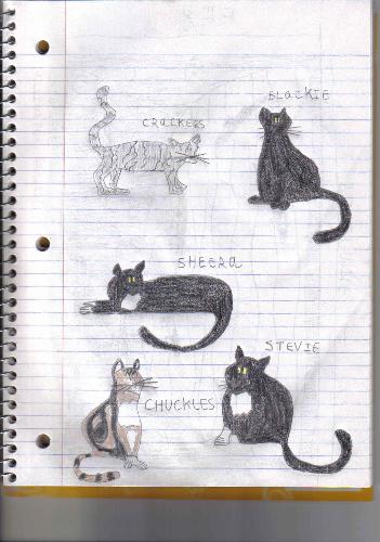 Cat Drawing  - This is the drawing of the feral cat family done by my 11 year old son.