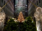 Christmas Tree - So beautiful