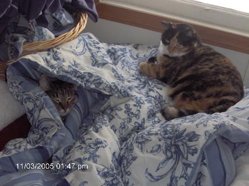 Isabella and Roo - Lounging.  Isabella sure is cozy.