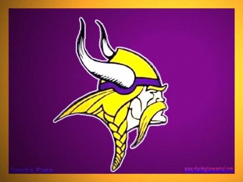 minnesota vikings - minnesota vikings