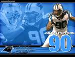 carolina panthers - carolina panthers