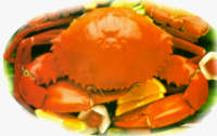 Crabs - yummy crab dish