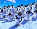 happy feet - happy feet
