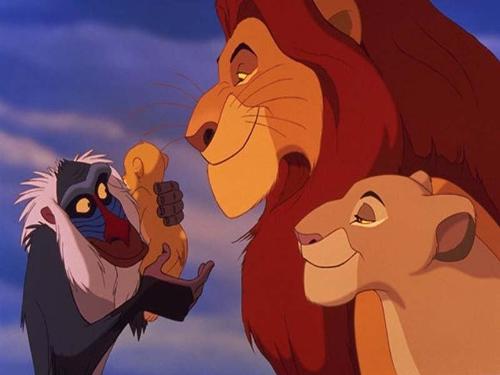 lion king - lion king