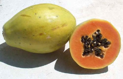 Papaya - The papaya, also known as mamão, tree melon, fruta bomba, lechosa (Venezuela, Puerto Rico, the Philippines and the Dominican Republic), or pawpaw is the fruit of the tree Carica papaya, in the genus Carica. It is a small unbranched tree, the single stem growing to 5-10 m tall, with the spirally arranged leaves confined to the top of the trunk; the lower trunk is conspicuously scarred with the leaf scars of where older leaves and fruit were borne. The leaves are large, 50-70 cm diameter, deeply palmately lobed with 7 lobes. The flowers are produced in the axils of the leaves, maturing into the large 15-45 cm long, 10-30 cm diameter fruit. The fruit is ripe when it feels soft (like a ripe avocado or a bit softer) and its skin has attained an amber to orange hue.