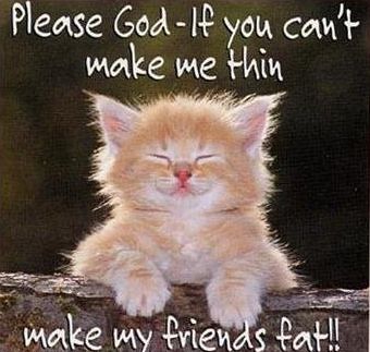 cute kitty prays.. -          cute kitty na..