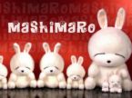 mashimaro - mashimaro