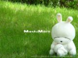 mashimaro 2 - mashimaro