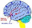 alzheimer. - If you are caring for someone with dementia, it’s important to help them remain as fit and healthy as possible – both physically and mentally. The better they feel, the more they can enjoy life, making life more pleasurable for both of you