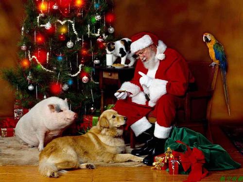 Merry Christmas - Merry Christmas