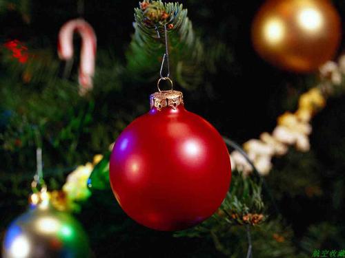 Merry Christmas - Merry Christmas