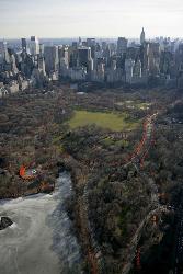 Central Park - Central Park in New York City.