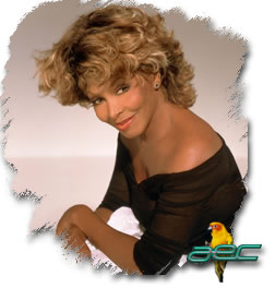 tina - tina
