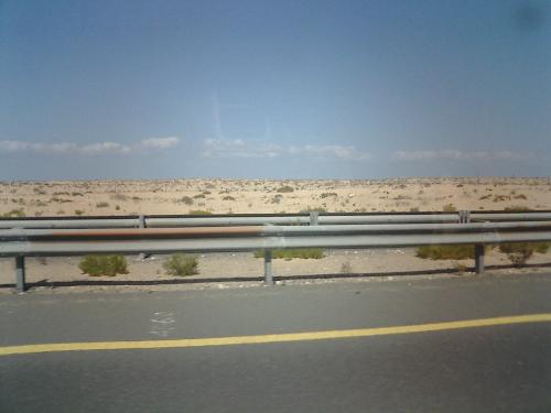 a desert at the outskirts of abu dhabi - This is a typical desert found at the outskirts of abu dhabi, uae. Unlike other deserts that is only made up of sand dunes, this one have few small grasses and bushes growing on it.