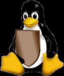 TUX ROX - This penguin rlz, is the linux simbol.