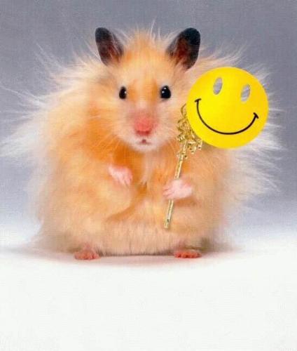 Hamster Smiley - A hamster holding a smiley mask. Cute!