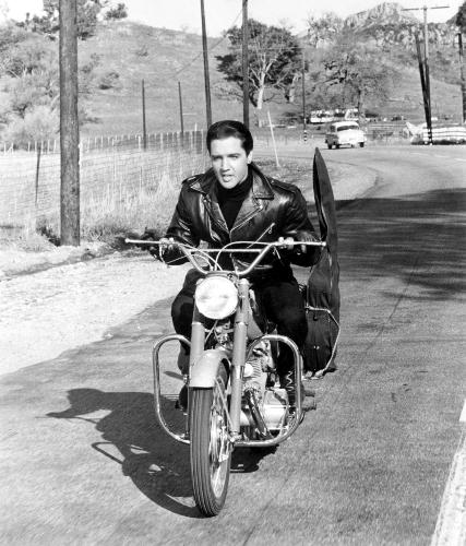 Elvis - I'm itching like a man on a fuzzy tree My friends say I'm actin' wild as a bug I'm in love I'm all shook up Mm mm oh, oh, yeah, yeah!
