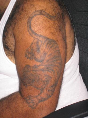 Tiger tattoo ! - This is a Pic of My tiger tattoo ! i got this on my Birthday this year, it was my B-day present to me ! lol