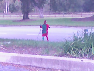 An Orange County Sherriffs Officer Dressed as an E - This idiot is an Orange County Sherriffs Officer dressed as an elf pulling people over in Orlando Florida.