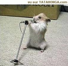 Mouse singer - The new singer of the year!!!!