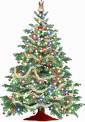 christmas tree - christmas tree