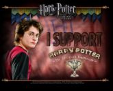 Harry Potter -  I support Harry Potter