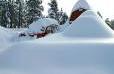snow - snow snow - snow
